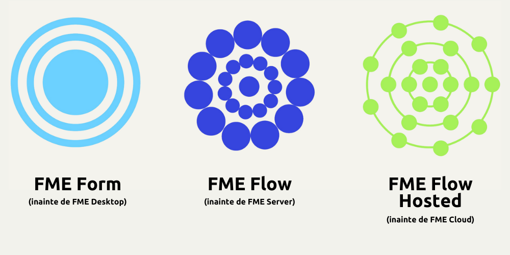 FME Form and FME Flow